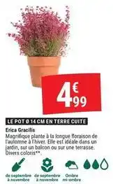 Gamm vert Le pot 14 cm en terre cuite offre