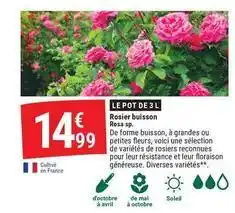 Gamm vert Avril - le pot de 3 l offre
