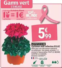 Gamm vert La vie - le pot 12 cm cyclamen midi collection ecloz offre