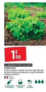 Gamm vert Facile - salade d'hiver offre