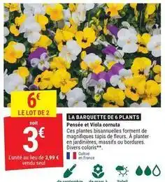 Gamm vert La barquette de 6 plants offre