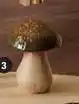 Hyper U Champignon a poser offre