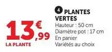 Super U Plantes vertes offre