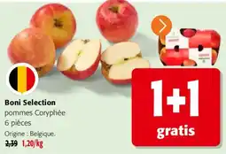 Colruyt Boni Selection pommes Coryphée offre