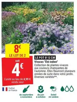 Gamm vert Vivaces "Été indien" offre