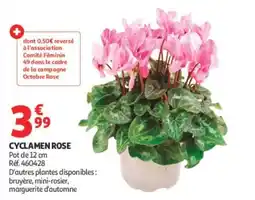 Auchan CYCLAMEN ROSE offre