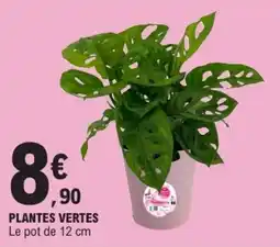 E.Leclerc PLANTES VERTES offre