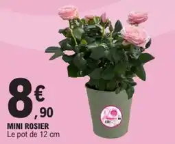 E.Leclerc MINI ROSIER offre