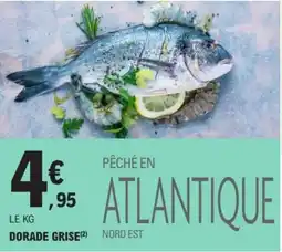 E.Leclerc DORADE GRISÉ offre