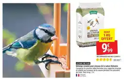 Gamm vert Belcanto Oiseaux de la nature offre