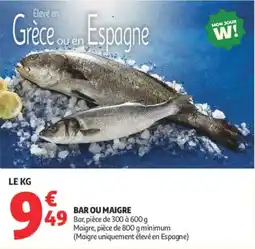 Auchan BAR OU MAIGRE offre