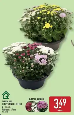 ALDI GARDENLINE CHRYSANThÈME offre