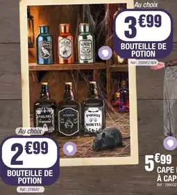 La Foir'Fouille BOUTEILLE DE POTION offre