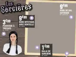 La Foir'Fouille Les Sorcières Perruque à Tresses offre