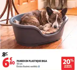 Auchan RIGA PANIER EN PLASTIQUE offre