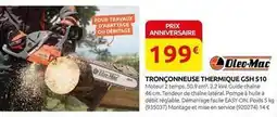 Rural Master Facile - tronçonneuse thermique gsh 510 offre