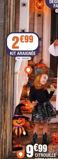 La Foir'Fouille Kit araignée offre