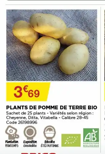 Bricomarché Plants De Pomme De Terre Bio offre