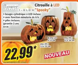 Norma Flower power citrouille à led spooky offre