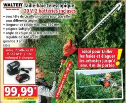Norma Walter taille-haie télescopique 20 v, 2 batteries incluses offre