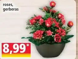 Norma Plantes artificielles offre