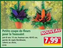 Norma Petite coupe de fleurs pour la toussaint offre