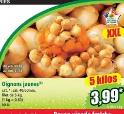 Norma Oignons jaunes offre