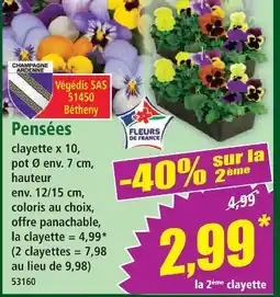 Norma Pensées offre