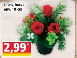 Norma Roses, buis offre