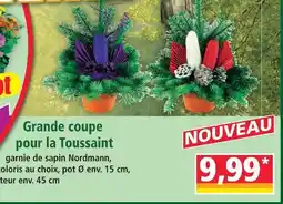 Norma Grande coupe pour la toussaint offre