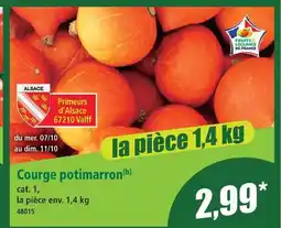 Norma Courge potimarron offre