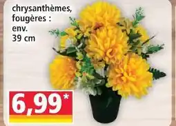 Norma Chrysanthèmes, fougères offre