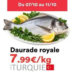 Hmarket Daurade royale offre