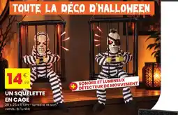 Stokomani UN SQUELETTE EN CAGE offre