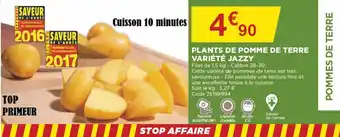Bricomarché Plants de pomme de terre variété jazzy offre