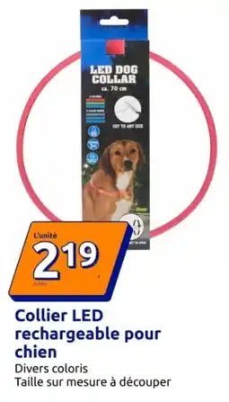 Action LED DOG COLLAR offre