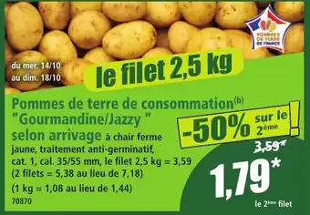 Pommes de terre de consommation