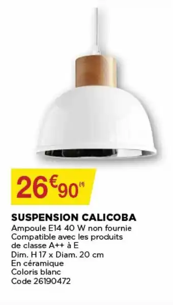 Bricomarché Suspension calicoba offre