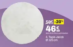 BUT Tapis Jacob offre