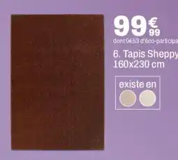 BUT Tapis Sheppy offre
