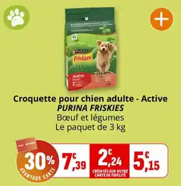 Coccinelle Supermarché PURINA FRISKIES offre