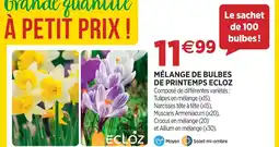 Delbard Ecloz mélange de bulbes de printemps ecloz offre