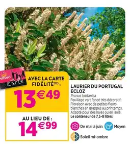 Delbard Ecloz laurier du portugal ecloz offre