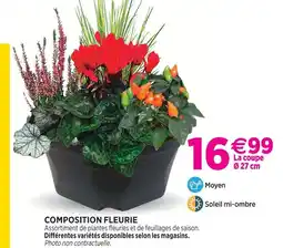 Delbard Composition fleurie offre