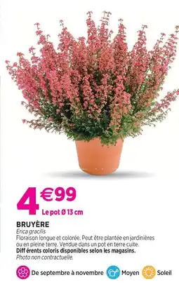 Delbard Bruyère offre