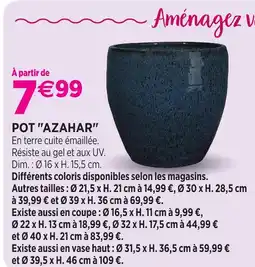 Delbard Pot azahar offre