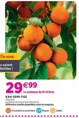 Delbard Kaki demi-tige offre