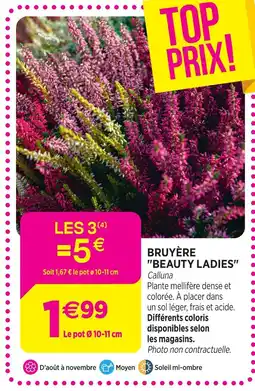 Delbard Bruyère “beauty ladies” offre