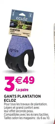 Delbard Ecloz gants plantation ecloz offre