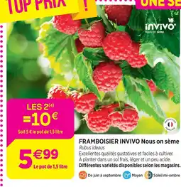 Delbard Invivo nous on sème framboisier invivo nous on sème offre